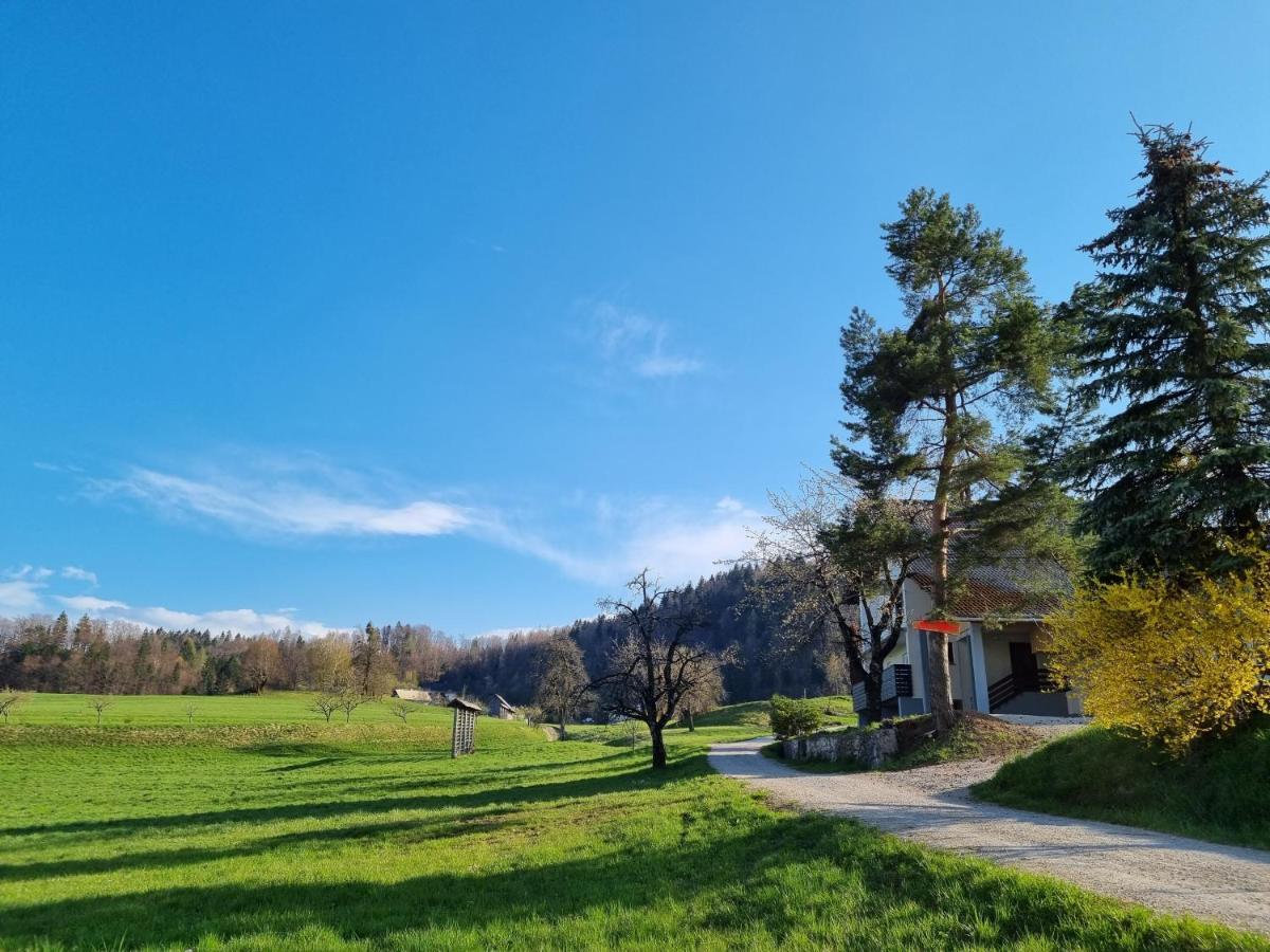 M&M Apartment Zgornje Gorje Dış mekan fotoğraf